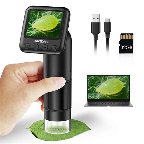 Buy LCD Handheld Digital Micro,800x Pocket Portable Micro for Kids with ...