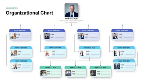 20+ Sample Organizational Chart Template - SampleTemplatess ...