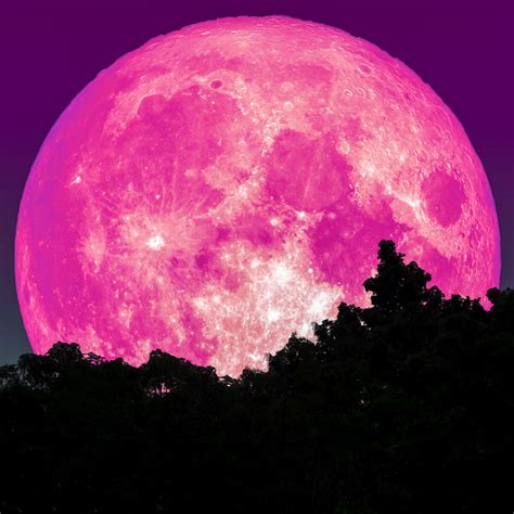 Super Pink Moon Coming In April - Here’s How To See It