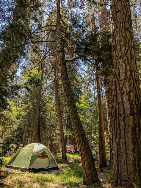 My camping setup for living for three months in a tent in Yosemite ...