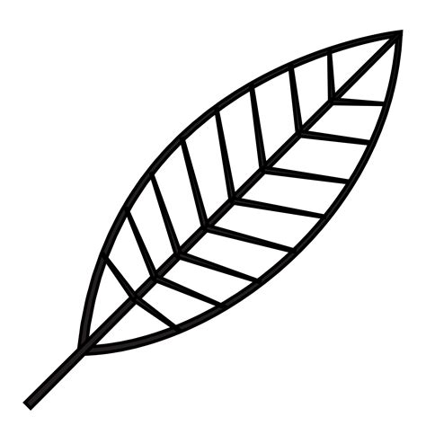 Leaf outline illustration, PNG with transparent background. 11911151 PNG