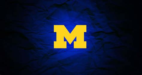 Download Michigan Wolverines Stadium in Action Wallpaper | Wallpapers.com