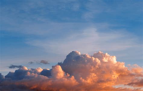 Wallpaper summer, the sky, clouds, sunset, sky, sunset, cloud images ...