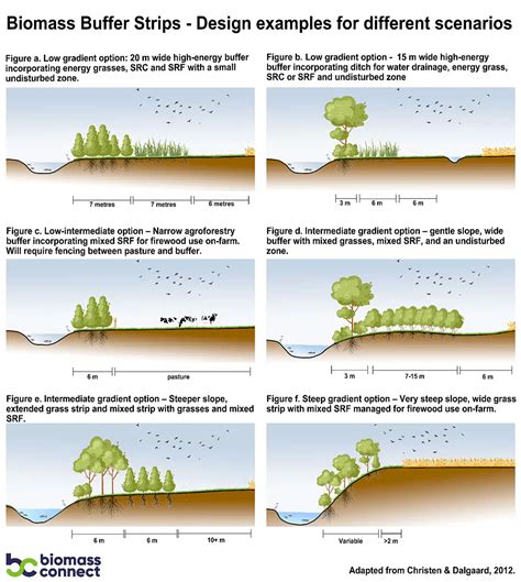 Biomass Buffer Strips – using biomass crops in multipurpose land management