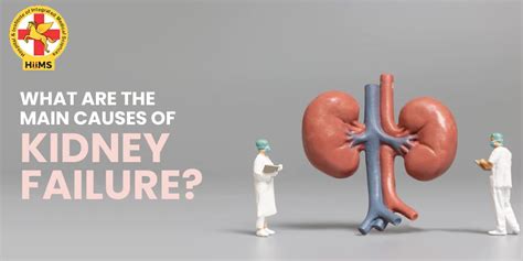 Causes of Kidney Failure! Types, Symptoms and Solutions