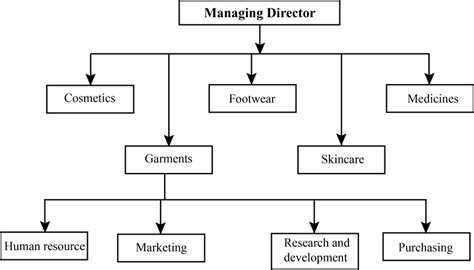 What is the divisional structure? Discuss its advantages and limitations.