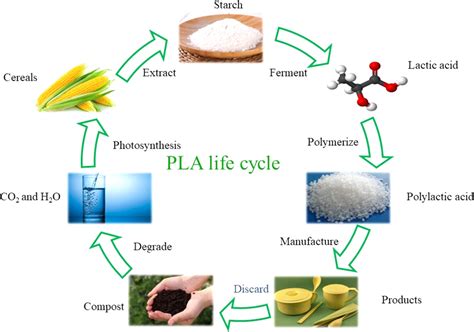 Polylactic Acid Applications