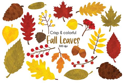 Fall Leaves Clipart – MasterBundles