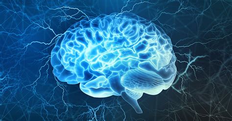 9 Neurological Disorders You Need to Know - Regional Neurological ...