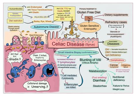 Celiac Disease: Gluten Intolerance - Creative Med Doses