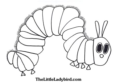 Butterfly Cocoon Coloring Pages at GetColorings.com | Free printable ...