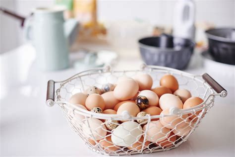 How To Dehydrate Eggs For Long-Term Storage: Complete Guide