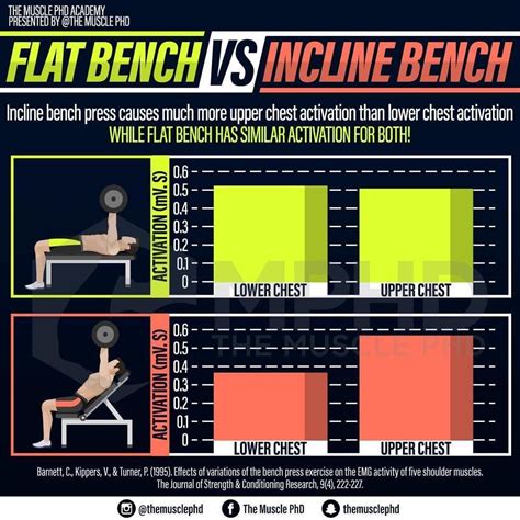 10 Amazing Incline Bench Press Benefits for a Stronger Upper Body