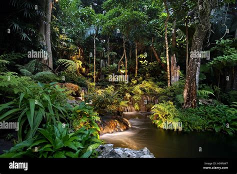 landscape photo, waterfall in forest at the night Stock Photo - Alamy