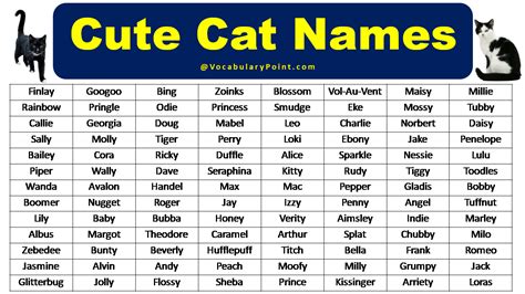 Most Popular Cute Cat Names - Vocabulary Point