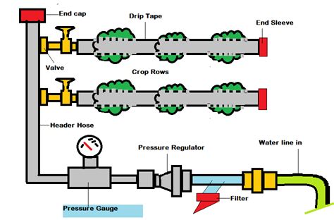 Draw a labeled diagram of the drip irrigation system.