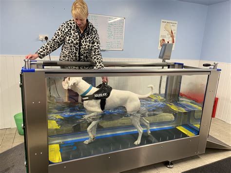 HydroWorx K900 | Canine Hydrotherapy Treadmill For Vets