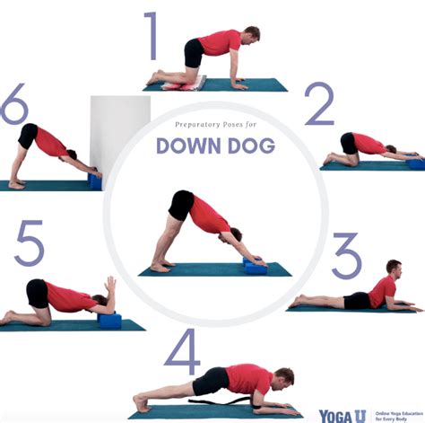 What Muscles Does Downward Dog Work