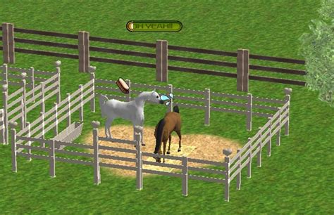 A Virtual Horse Game Horse Breeds - fasrfab