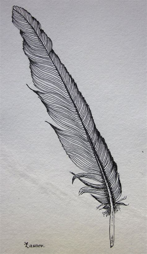 Black Feather 2 original ink drawing