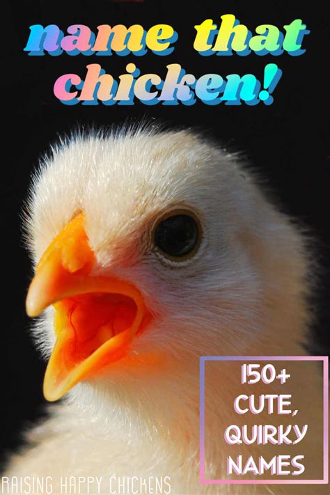 150+ unique chicken names to choose for your flock!