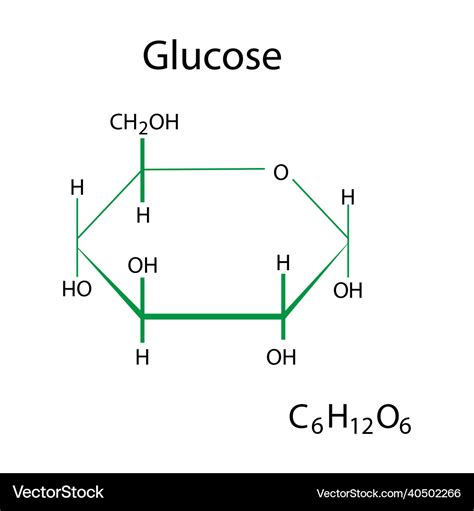 Glucose chemical formula organic compound Vector Image