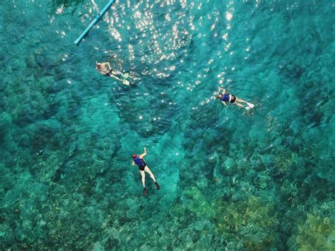 Practice Snorkeling in Kauai, Hawaii | Villas at Poipu Kai