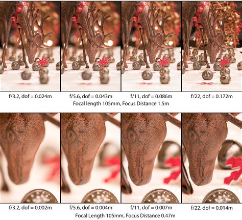 Understanding Depth of Field - A Beginner's Guide