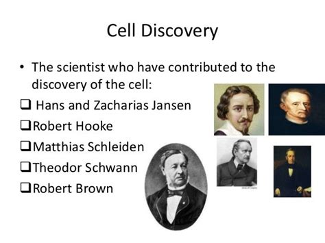 Cell discovery & cell theory