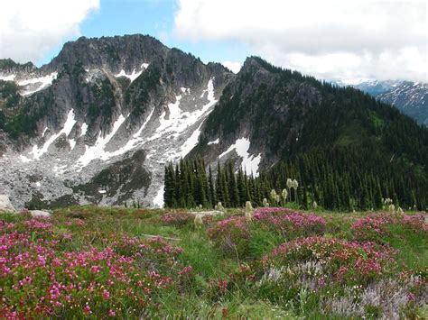 Sulphur Mountain Trail #794