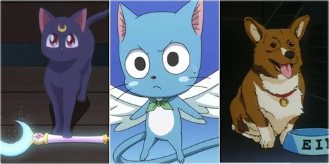 10 Adorable Animal Sidekicks In Anime That Always Get The Job Done