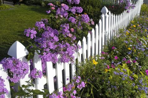 White Picket Fence Garden Ideas That Will Make You Say WOW - Top Dreamer