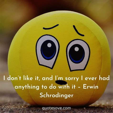 101+ Best Sorry Quotes, And Sayings » QuoteSove