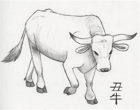 Ox Drawing at PaintingValley.com | Explore collection of Ox Drawing