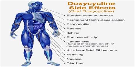 Doxycycline (Uses and Effects) - Assignment Point