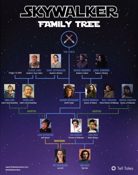 Star Wars - Skywalker Family Tree Explained [Infographic]