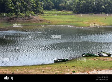 Boating at Thekkady Stock Photo - Alamy