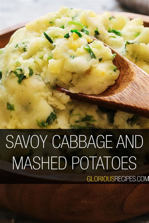 22 Amazing Savoy Cabbage Recipes To Try