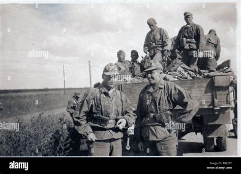 Waffen SS Division Wiking men in Camouflage uniforms 1942 on the ...