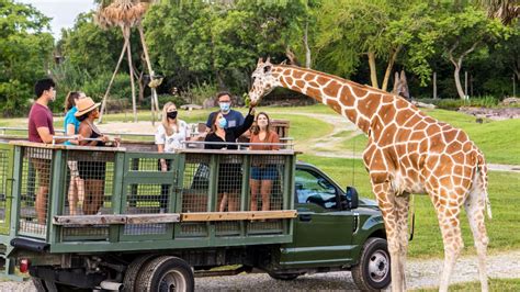 Busch Gardens Tampa Reopens Safari Tour