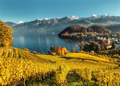 Wandern: Thunersee-Panoramaweg | Schweiz Tourismus