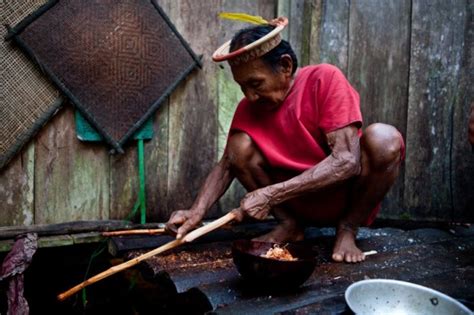 The Yoco Hunters: The Secoya People and the Yoco Vine | Rainforest Fund