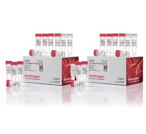 TA Cloning™ Kit, with pCR™2.1 Vector, without competent cells