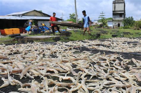 Produksi ikan asin kering menurun | ANTARA Foto