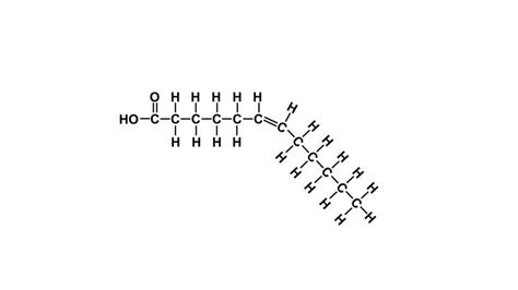 Diagram Of Unsaturated Fatty Acid