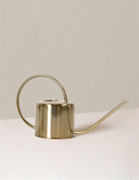 Metal Watering Can | Houseplants and Gifts for Delivery | The Sill