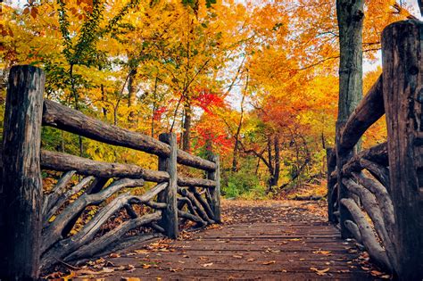 path, Leaves, Nature, Fall, Trees, Autumn, Autumn, Splendor Wallpapers ...