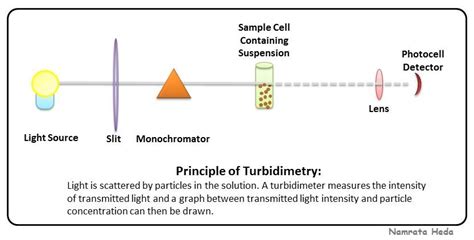 B for Biology: Spectrophotometry - Applications of UV-Visible ...