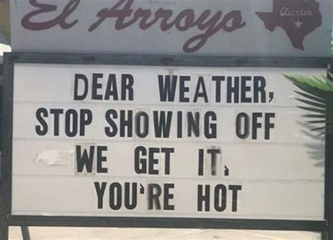 42 Hot Weather Memes That'll Help You Cool Down - SayingImages.com