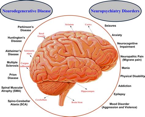 Major human neurodegenerative diseases and neuropsychiatry disorders ...